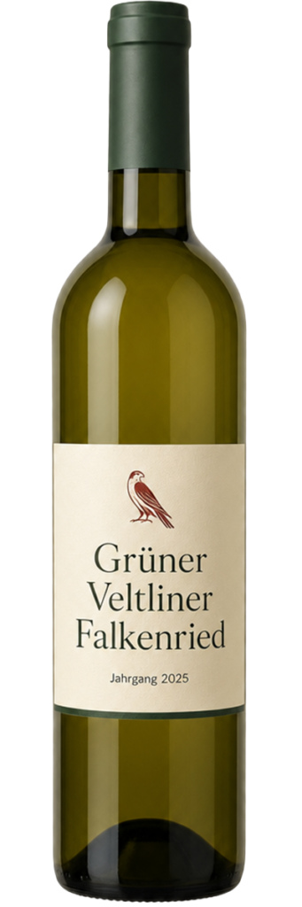 Grüner Veltliner Falkenried 2025 vom Weingut Falkenried